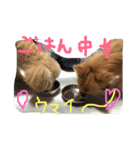 マロンとモコ（個別スタンプ：2）