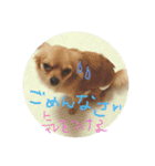 マロンとモコ（個別スタンプ：3）