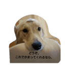 peachpeachlove（個別スタンプ：2）