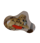 my love love pet（個別スタンプ：6）