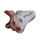 my love love pet（個別スタンプ：7）
