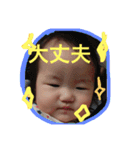 お茶目はるくんスタンプ（個別スタンプ：16）