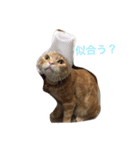 田中家のまる（個別スタンプ：2）