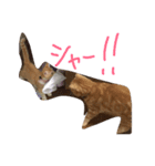 田中家のまる（個別スタンプ：8）