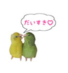 いやしのマメルリハ（個別スタンプ：2）