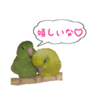 いやしのマメルリハ（個別スタンプ：7）