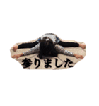 喜怒哀楽が激しい子達（個別スタンプ：5）