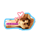 こたこたこーちゃん（個別スタンプ：3）