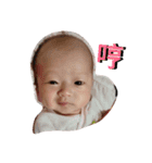 Baby lifeful quotations（個別スタンプ：16）