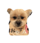 ICHIAZUMAA（個別スタンプ：2）