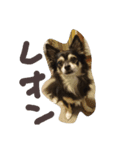 レオンとあずき（個別スタンプ：2）