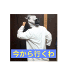 たかおのスタンプ（個別スタンプ：8）