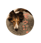 SHION's life.（個別スタンプ：8）
