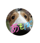 SHION's life.（個別スタンプ：10）