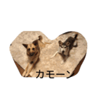 花子、キャンディ、ルビー（個別スタンプ：17）