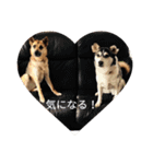 花子、キャンディ、ルビー（個別スタンプ：21）