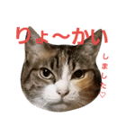 こなっぽん（個別スタンプ：3）