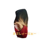 ボクたちの日常（個別スタンプ：7）