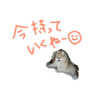 愛しのりゅう（個別スタンプ：2）