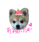 愛しのりゅう（個別スタンプ：3）