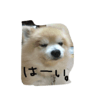 愛しのりゅう（個別スタンプ：4）