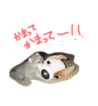 愛しのりゅう（個別スタンプ：6）