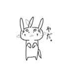 柴うさぎ（個別スタンプ：5）