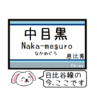 日比谷線 いまこの駅だよ！タレミー（個別スタンプ：1）