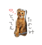 たまちゃん（基礎編）（個別スタンプ：5）