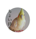 我が家の黄色いアイツ（個別スタンプ：7）