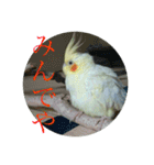 我が家の黄色いアイツ（個別スタンプ：11）