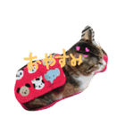 大好きなベル（個別スタンプ：1）