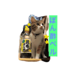 大好きなベル（個別スタンプ：6）