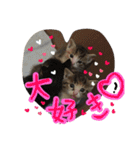 大好きなベル（個別スタンプ：9）