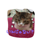 大好きなベル（個別スタンプ：11）