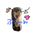 大好きなベル（個別スタンプ：21）
