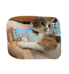 大好きなベル（個別スタンプ：22）