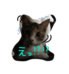大好きなベル（個別スタンプ：24）
