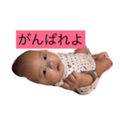 はしもとじゅきとくん（個別スタンプ：12）