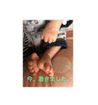 恭ちゃんの日常withナッツ（個別スタンプ：11）