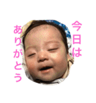 恭ちゃんの日常withナッツ（個別スタンプ：25）