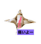 バナナノットオンリー（個別スタンプ：7）
