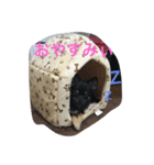 チワワ ブラックタン（個別スタンプ：3）
