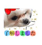 かわいいみみちゃん（個別スタンプ：3）