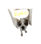 スーモモ（個別スタンプ：6）