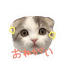 タビちゃん（個別スタンプ：2）
