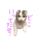 タビちゃん（個別スタンプ：14）