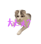 タビちゃん（個別スタンプ：27）