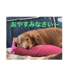 らむくんの休日（個別スタンプ：3）