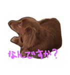 らむくんの休日（個別スタンプ：9）